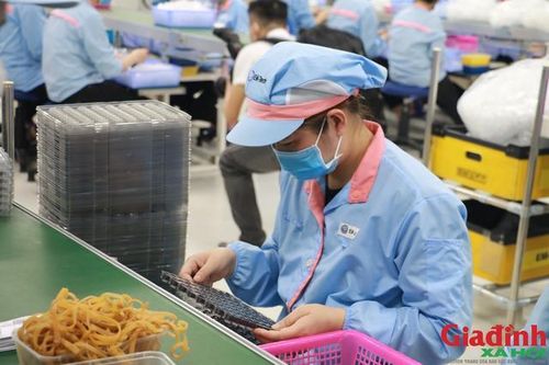 Mức lương 95 triệu đồng/tháng thuộc doanh nghiệp nào ở Nghệ An?