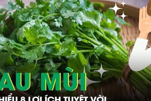 8 lợi ích sức khỏe tuyệt vời từ rau mùi