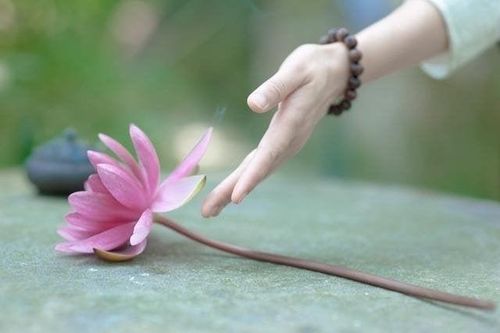 'Nghĩ thiện để cuộc đời và công việc viên mãn hơn'