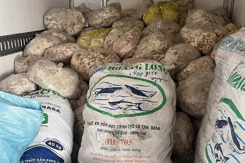 Phát hiện 1,1 tấn mỡ heo bốc mùi đang trên đường đi tiêu thụ