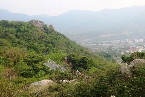 Vụ chuyển hơn 11ha rừng làm khu nghỉ dưỡng cao cấp Vĩnh Hy: Chưa hoàn tất công tác tham vấn cộng đồng