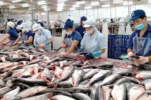 Doanh nghiệp Việt - một năm 'vượt sóng cả'