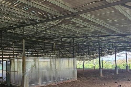 Những trang trại 'điện mặt trời' kỳ lạ ở Đắk Nông