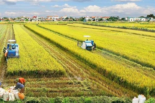 Tin tức kinh tế ngày 3/1: Ngành nông nghiệp tăng trưởng cao nhất trong 10 năm qua