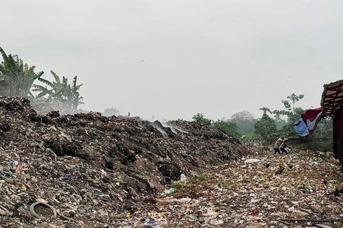 Hải Dương: 2 hộ kinh doanh vi phạm về môi trường bị phạt 450 triệu đồng