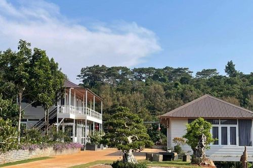 Tạm đình chỉ công tác phó chủ tịch thị trấn và hai cán bộ ở Đắk Nông