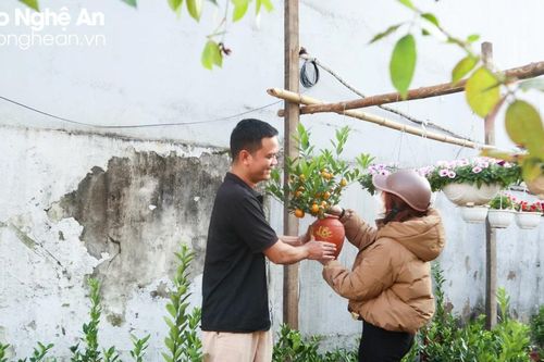 Quất, đào xuống phố, người dân thành Vinh tranh thủ chơi Tết sớm