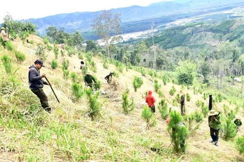 Kon Tum: Chuyển đổi mục đích sử dụng rừng đảm bảo đúng quy định