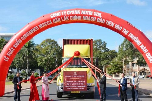 Đắk Lắk xuất khẩu container macca đầu tiên vào thị trường Hàn Quốc