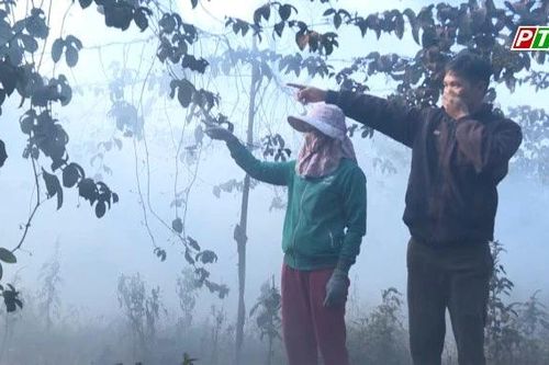 Đắk Nông: Xử phạt 130 triệu đồng doanh nghiệp sấy càphê ô nhiễm môi trường