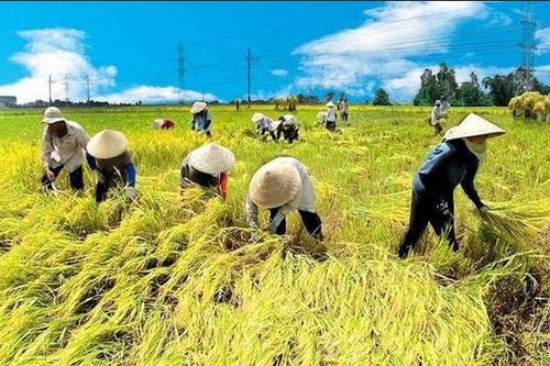 Nông nghiệp tăng trưởng cao nhất trong 10 năm