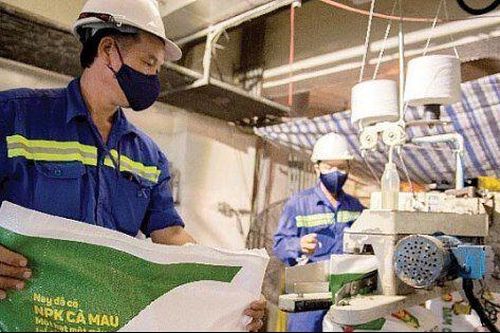 Ngành phân bón đón tín hiệu sáng ngay đầu năm 2024
