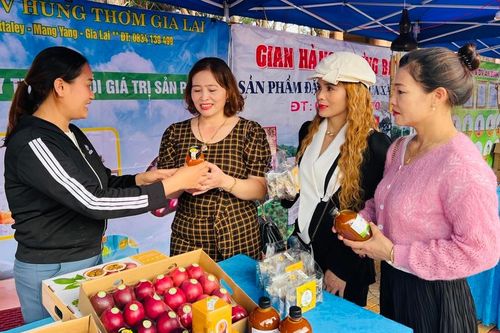 Nông sản Gia Lai lên sàn thương mại điện tử
