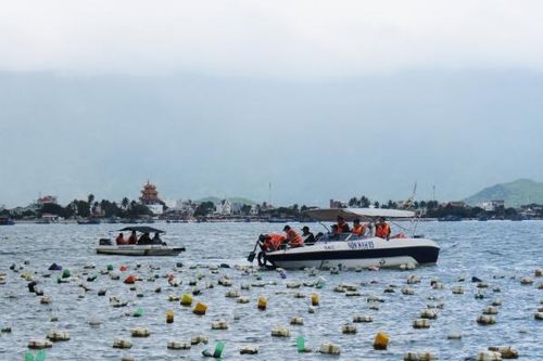 Thị trấn Vạn Giã: Xử lý triệt để lồng bè nuôi trồng thủy sản trái phép
