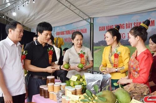 Đoàn kết, tự lực, tự cường, xây dựng huyện phát triển toàn diện