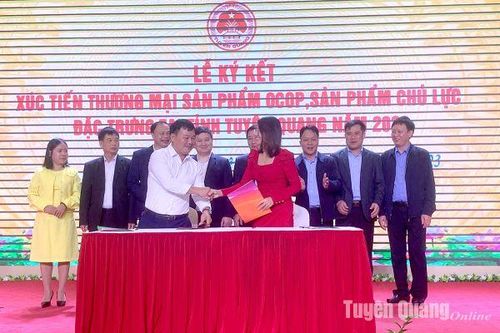 Giá sản phẩm chăn nuôi giảm mạnh