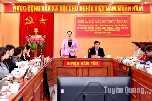 Đoàn đại biểu Quốc hội tỉnh Tuyên Quang giám sát chuyên đề tại huyện Hàm Yên
