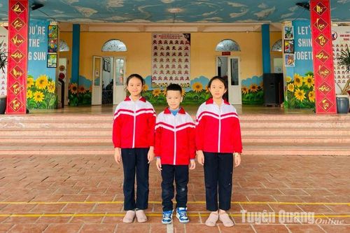 3 học sinh trường Tiểu học Lê Văn Tám đoạt giải cao tại Kỳ thi Olympic IQ FISO