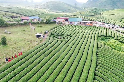 Phát triển du lịch bền vững dựa vào cộng đồng