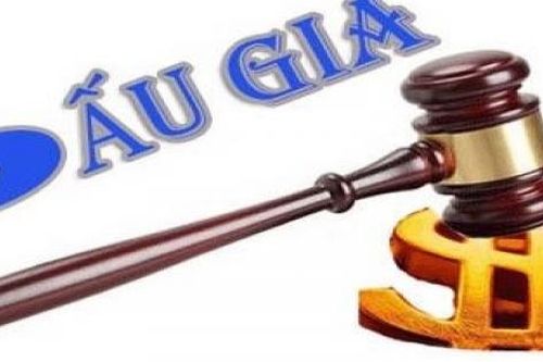 Tổng công ty Hàng hải Việt Nam sẽ bán đấu giá cổ phần tại hai công ty con