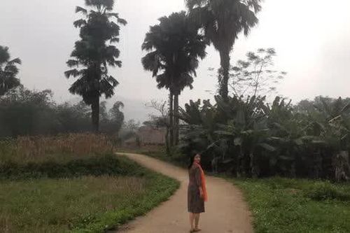 Lâm Thượng, về chốn an yên
