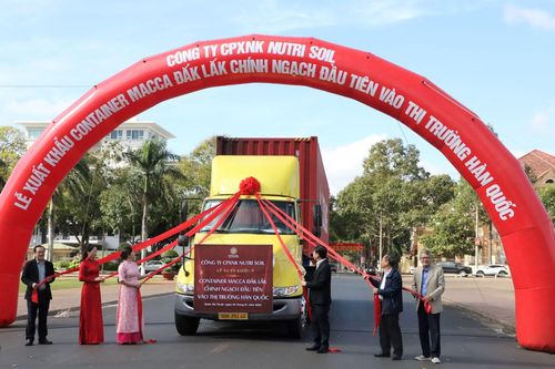 Xuất khẩu lô mắc ca chính ngạch đầu tiên sang Hàn Quốc
