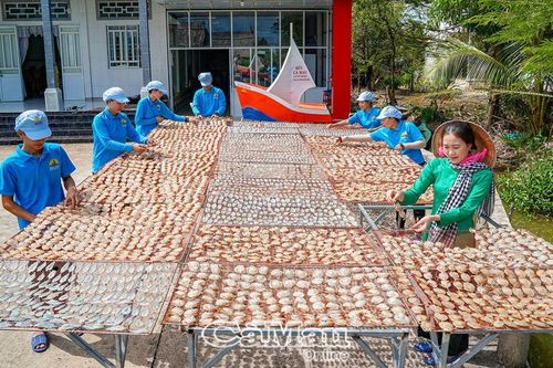 Về Cà Mau ăn tôm xẻ, tôm lụi