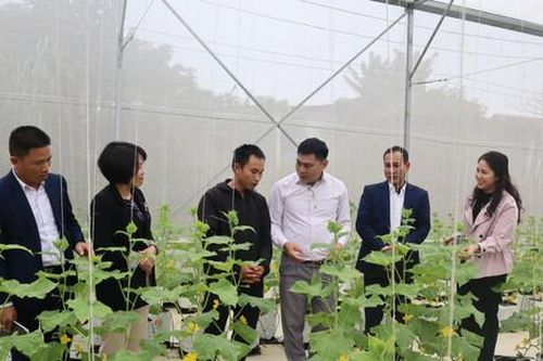 Xã Xuân Sơn (thị xã Sơn Tây) hoàn thành nông thôn mới nâng cao