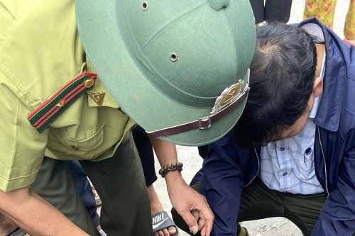 Quảng Nam: Thả con khỉ tấn công người vào rừng phòng hộ
