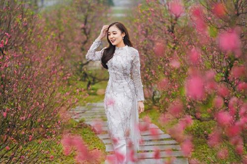 Hà Nội lần đầu tổ chức Lễ hội hoa đào, quất cảnh Xuân Giáp Thìn 2024