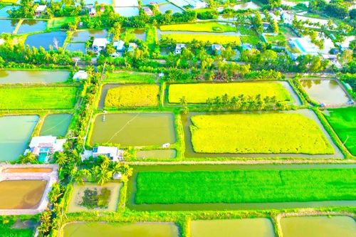 Nông dân Bạc Liêu làm giàu theo hướng thuận thiên