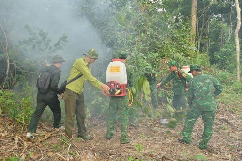 Chung tay bảo vệ an toàn Vườn Quốc gia Phú Quốc