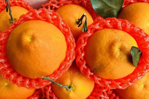 Quýt chum Nhật giá hơn triệu đồng mỗi kg, hàng Trung Quốc dội chợ chỉ 20.000 đồng