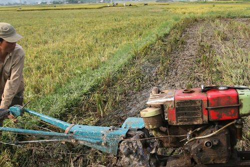 Hóc Môn giải quyết hơn 3.000 việc làm cho lao động nông nghiệp