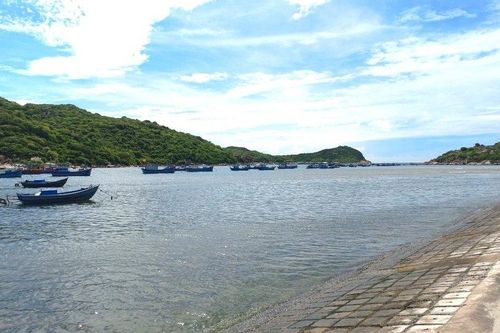 Ninh Thuận: Kỷ luật nhiều cán bộ liên quan sai phạm ở vịnh Vĩnh Hy
