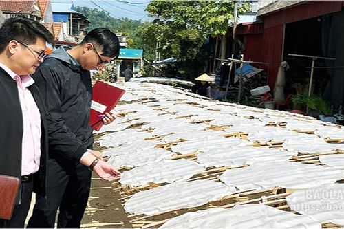 Tạo cơ hội nâng thu nhập cho đoàn viên, người lao động từ vốn vay ưu đãi