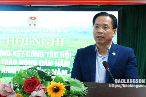 Hội Nông dân tỉnh: Tổng kết công tác hội và phong trào nông dân năm 2023, triển khai nhiệm vụ năm 2024