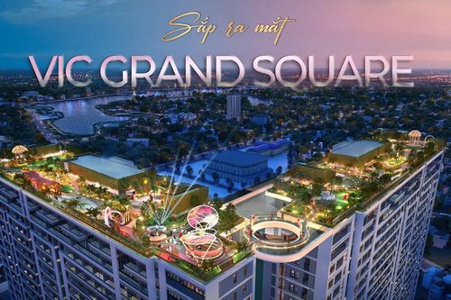Nhà tư vấn tìm cơ hội ở thị trường chưa từng có sốt đất
