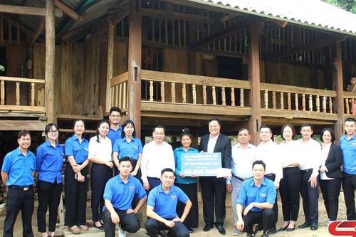 Thực hiện hiệu quả nhiệm vụ chuyên môn và phong trào tình nguyện