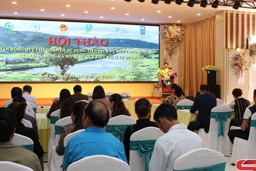 Tăng cường quản lý sử dụng tiền dịch vụ môi trường rừng