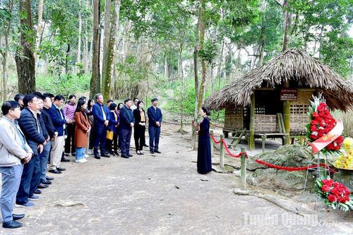 Đoàn công tác Văn phòng Tỉnh ủy Ninh Bình về nguồn tại Tân Trào