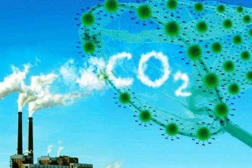 Châu Á - Thái Bình Dương: Cần tách rời tăng trưởng kinh tế khỏi phát thải carbon