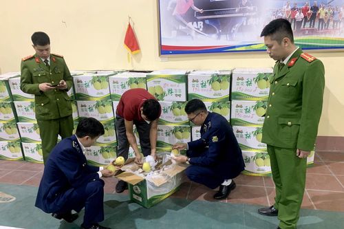 QLTT Thái Nguyên thu giữ hơn 1 tấn hoa quả nhập lậu
