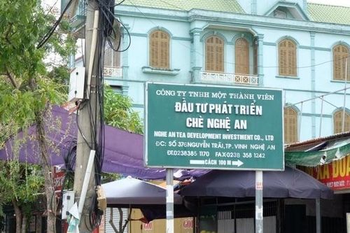 Kết quả kinh doanh 'kém vui' của Công ty CP Tổng công ty Chè Nghệ An