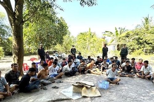 Phá trường gà quy mô lớn, tạm giữ hơn 30 đối tượng