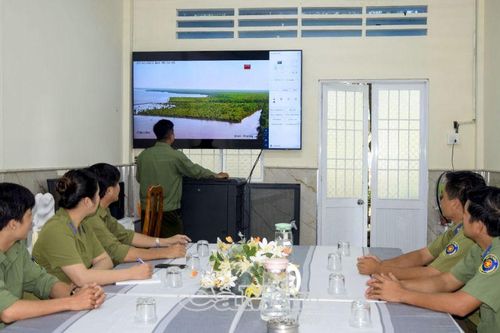'Mắt thần' ở Vườn Quốc gia Mũi Cà Mau
