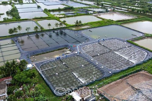 Ðể nông nghiệp là trụ đỡ kinh tế