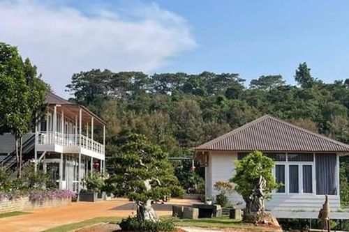3 cán bộ bị đình chỉ vì để xảy ra vi phạm trật tự xây dựng, quản lý đất đai