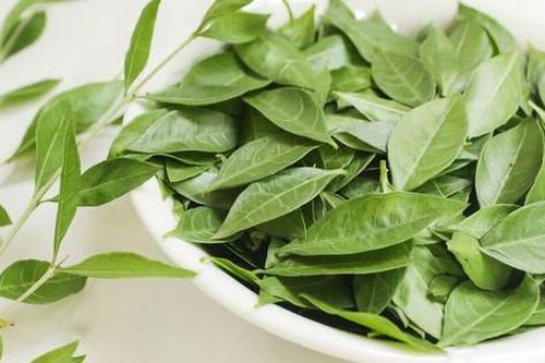 Bài thuốc chữa bệnh từ cây lá móng tay