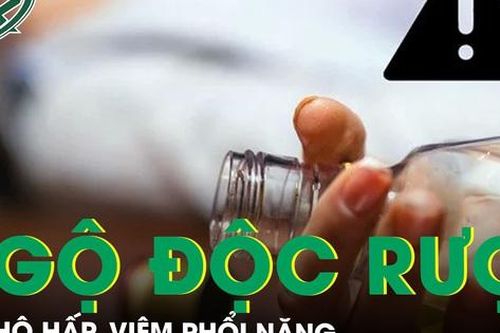 Suy hô hấp, viêm phổi nặng do ngộ độc rượu